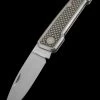 W.F. Steenkamp Custom Pointer Titanium