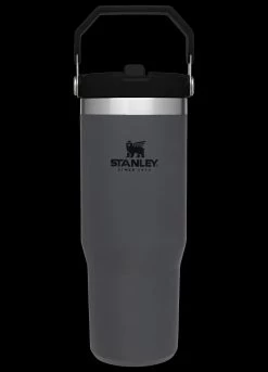 Stanley IceFlow Insulated Flip Straw Tumbler -Professional Outdoor Equipment Store BMC 10 09993 194 85665.1694097118
