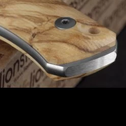 Lion Steel Bushcraft B35 Wood