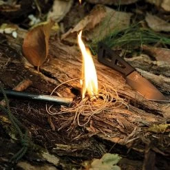 Atwood Parapocalypse Paracord -Professional Outdoor Equipment Store rg1294hdet3 61513.1587415943